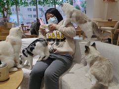 -藏猫猫咖啡主题馆(中央大道店)