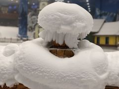 -长沙湘江冰雪世界