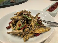 -丹江渔村(望京店)