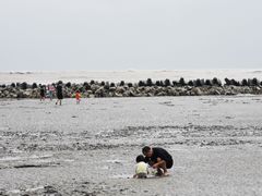 -南汇嘴观海公园