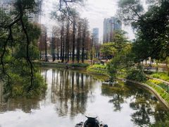 -四海公园(南山区)