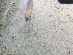 -鸿通城购物中心