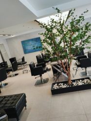 点击看大图 -付军剪艺JF ProSalon