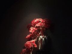 -江南足纪·影院足道·轻奢SPA(笋岗HALO广场店)
