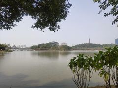 -顺峰山公园