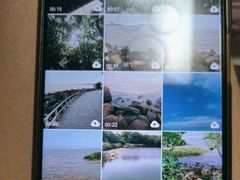 -上海吴淞炮台湾国家湿地公园