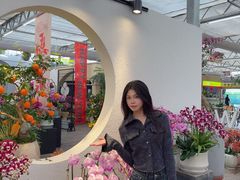 -荷兰花海