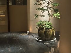 -元古本店(南锣鼓巷店)