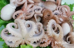 Ginger Squid