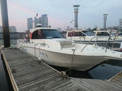 -日照灯塔风景区