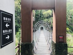 -海南热带雨林国家公园吊罗山景区