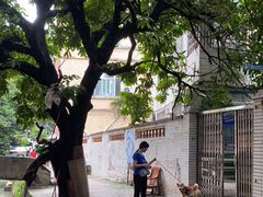-小洲村