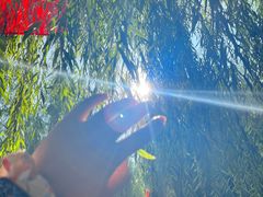 -艾山风景名胜区