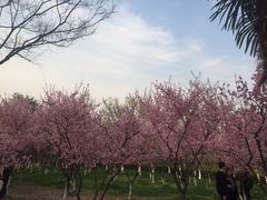 -白塘生态植物园