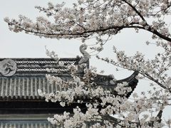 -苏州上方山国家森林公园