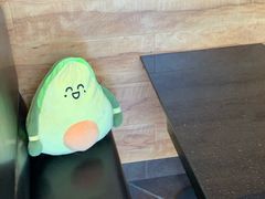 -油梨树AVOCADO TREE(顺义新国展店)