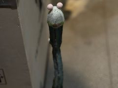 -花仓咖啡(祥安巷店)