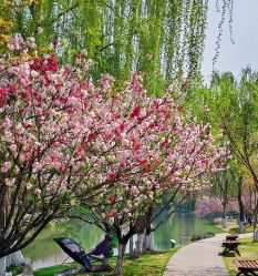 -玄武湖景区-情侣园游乐场