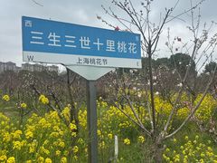 -南汇桃花村