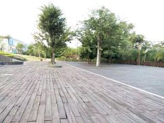 -广西壮族自治区药用植物园
