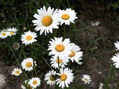 -汉长安城未央宫国家考古遗址公园