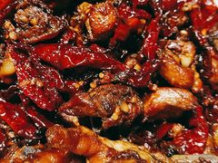 -柴窝堡22号辣子鸡·传承新疆菜