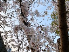 -南京城墙景区