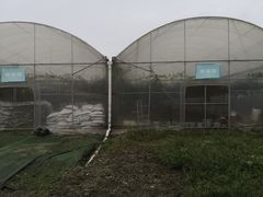 -洪湖家庭农场·团建·露营·会议