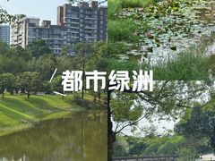 -东莞松山湖凯悦酒店