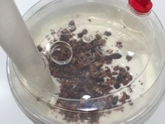 冻顶乌龙鲜牛乳-奈雪的茶(市百一店)