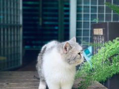 -谷咖啡·鲜花绿植花园餐厅
