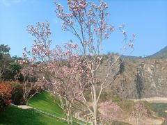 -铜锣山矿山公园