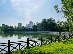 -迎泽公园