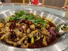 -海岛八号龙虾烧烤田鸡(蓝天路总店)