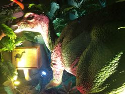 -恐龙探索乐园(磁器口店)