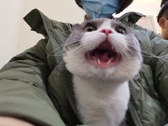 -萌兽医馆·犬猫专科·眼科中心·宠物医院(朝阳门分院)