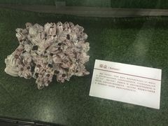 -中国第四纪冰川遗迹陈列馆