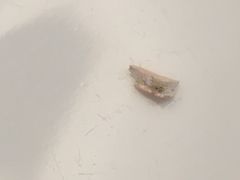 -壹零贰小馆(桂城石啃店)