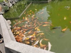 -双塔老饭店