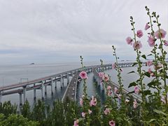 -星海湾跨海大桥