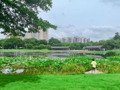 -映月湖公园