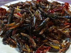 -88号小吃店·经典云南菜·地道纳西美食