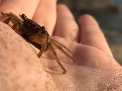 -黄金海岸环岛路