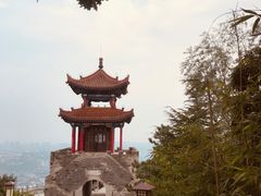 -象山森林公园