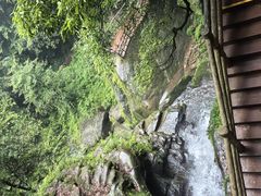 -碧峰峡风景区