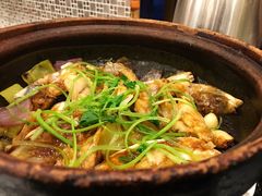 生啫大鱼面-美极鲜食坊(宝安南路店)