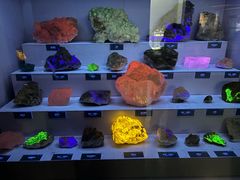 -湖南省地质博物馆