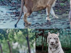 -乐和乐都主题乐园