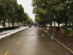 -南京理工大学紫金学院