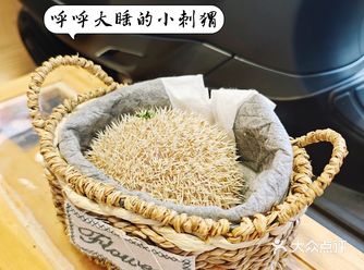 果然是大城市，咖啡馆都这么有意思